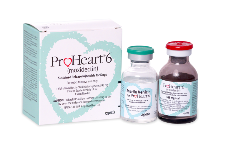 proheart-injectable-in-breckenridge-tx-animal-medical-clinic